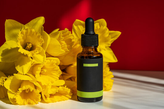 Yellow Daffodils On A White Table Top Over A Red Background. In The Foreground A Bottle With A Pipette.