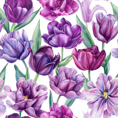 Fototapeta premium Spring flower. tulips flowers on an isolated white background, watercolor botanical painting. Seamless Floral pattern