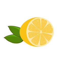 Half cut fresh yellow lemon with leaves on white background. Vector illustration