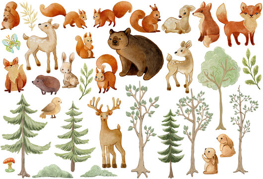 Forest Woodland animals and trees, watercolor collection, PNG
