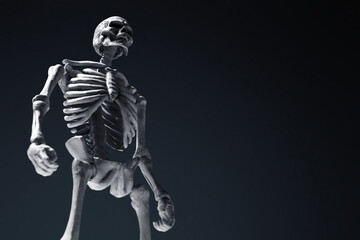 Fototapeta na wymiar Human skeleton on dark background