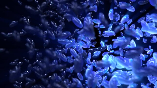 Random motion abstract background of elliptical objects on black background.