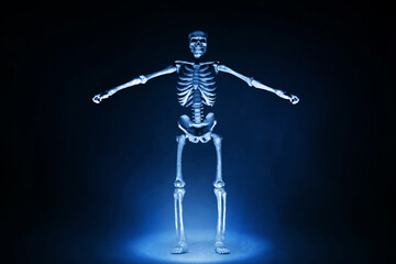 Obraz na płótnie Canvas Human skeleton on dark background
