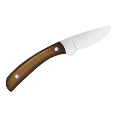 Cuchillo de cocina de acero aislado