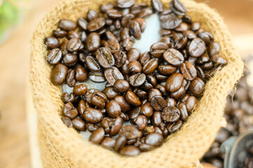 Coffee beans in burlap sack on coffee tree background