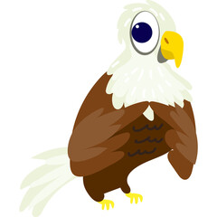 eagle animal zoo nature life