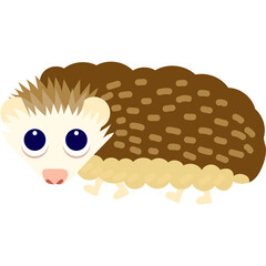 hedgehog animal zoo nature life