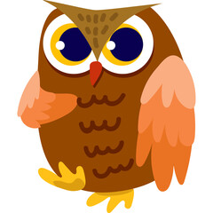 owl animal zoo nature life