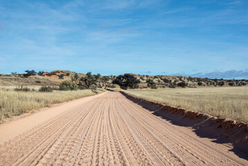 Kalahari Landscape