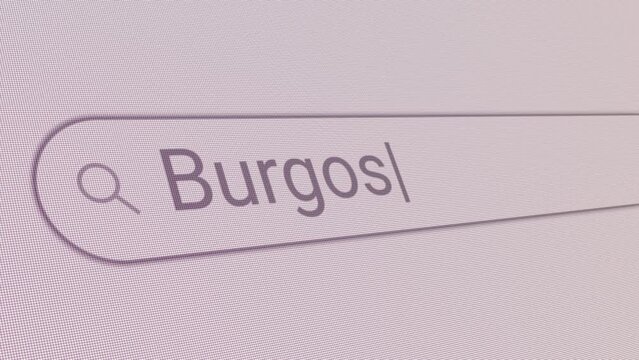 Search Bar Burgos 
Close Up Single Line Typing Text Box Layout Web Database Browser Engine Concept