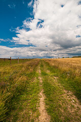 late summer in countryside