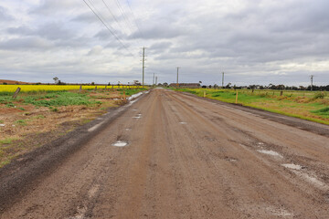 Fototapeta na wymiar dirt road after rain through canola fields