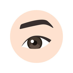 The Open Beautiful Eye of an Asian Woman. Healthy Eyebrow and Lashes. Part of the Face. Colorful Cartoon style. White background. Vector illustration for Medical Beauty and Educational Design.