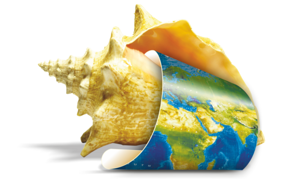 World map rolled up inserted in a sea shell for travel