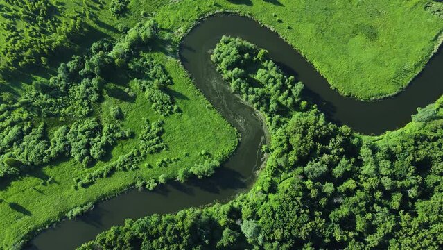 aerial view of the river curving bank with green grass and trees in summer