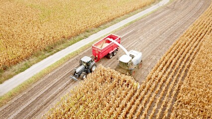 Maishäcksler und Traktor auf einem Feld bei der Erntearbeit, Landwirtschaft, Agrarpolitik,...