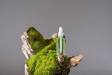 Botella de extracto de musgo, esencia con cuentagotas sobre un tronco de árbol con musgo. Producto cosmético natural de aromaterapia