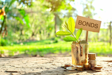 Investment on bonds concept. Coins in a jar with soil and growing plant in nature background.	