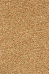 Sandy beach natural background, texture. 