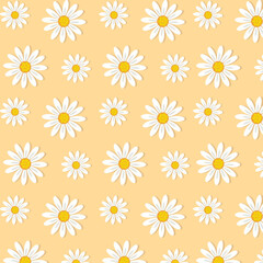 Chamomile pattern. Floral pattern of white daisies. Daisies on a yellow background. Floral background. 