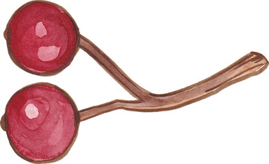 Watercolor colorfull autumn leaves with berries