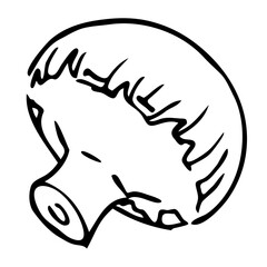 Mushroom illustration line art. PNG with transparent background.