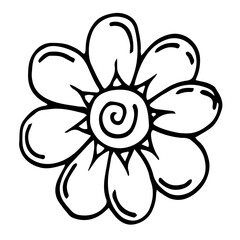 Botanical illustration with black thin line. PNG with transparent background. 