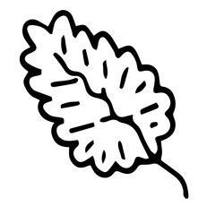 Botanical illustration with black thin line. PNG with transparent background. 