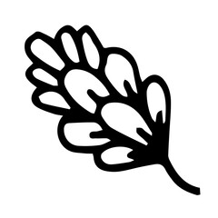 Botanical illustration with black thin line. PNG with transparent background. 