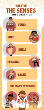 Yellow  Information About Senses Infographic