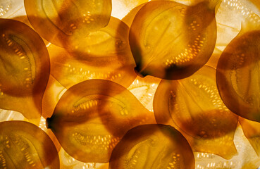 slices of pumpkin on a white background - food background