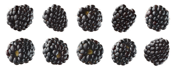 Collection or set of various fresh ripe blackberries on white background