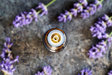 A dark bottle of essential oil with blooming lavender plant, top view