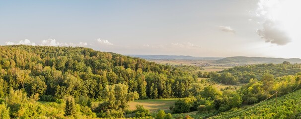 Beautiful landscape of Ammerbuch, Baden-Wuerttemberg, Germany with forest and vineyard during autumn at sunset (Panorama)