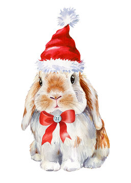 recommend clip art: Cute rabbit. Bunny in hat watercolor illustration. New Year 2023 rabbit. 