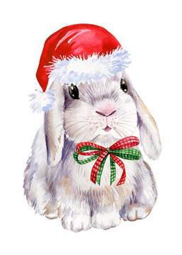 recommend clip art: Bunny in red hat watercolor drawing. New Year 2023 rabbit. Holiday illustration. 
