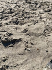 footsteps on the sand