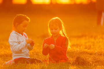 Adorable little girls having fun playing outdoors on summer day