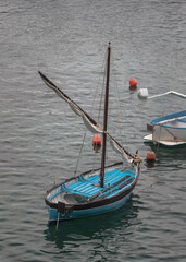 Obraz premium Typical fishing boat sailing boat of Cinque Terre, Town of Vernazza from the hill, Liguria Italy