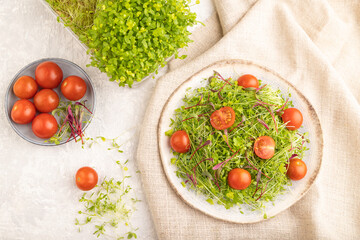 Vegetarian vegetables salad of tomatoes, celery, onion microgreen on gray concrete Top view, close up.