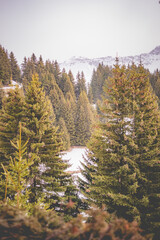 autumn in the mountains