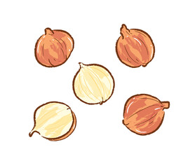 Whole and sliced yellow onions in flat vector illustration art design