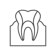 Dental canals line outline icon