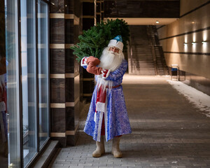 Fototapeta na wymiar Russian Santa Claus carries a Christmas tree at night outdoors.