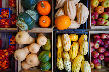 Colorful pumpkins in the fall