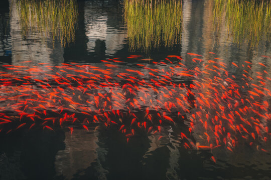 Esch Belval, Luxembourg-Semptember 2022: street life in the modern district of Belval in Luxembourg