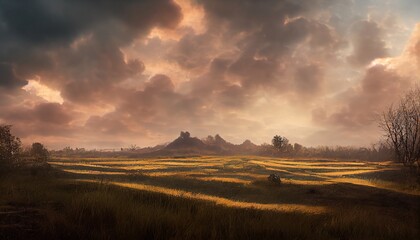 Obraz premium cloudy sunset in the field