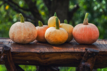 Autumn colorful pumpkins on a wooden table - 533379306