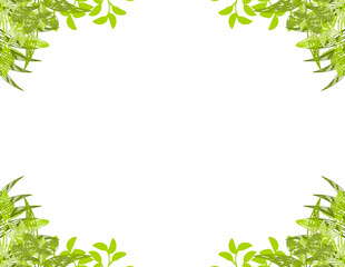 Obraz premium floral frame