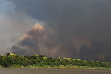 burning rainforest, sepik river, Papua New Guinea